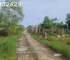 Bán 10m x 35m đất ONT Tân Phước - TX LaGi giá rẻ nhất Gần 577