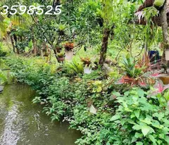 Cần bán gấp 2000m2 giá 290 triệu, nhà cấp 4 nhỏ xinh, đường nhựa 10m