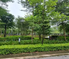 Bán biệt thự Ciputra giai đoạn 1 diện tích 180m2 hướng Nam giá 345tr/m2,