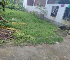 Siêu phẩm đất nền tại Khối phố Xuyên Đông - Nam Phước: Giá tốt - Pháp lý rõ ràng