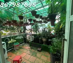 Bán Căn Nhà Khu Phố Tây Hẻm Hùng Vương, Phường Lộc Thọ, Nha Trang - Giá 3,65 Tỷ