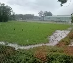 Cần Tìm Nhà Đầu Tư Cho Lô Đất 3 Nghìn m2 Ở MT Hương Lộ 2.