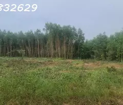 HÀNG NGỢP! 3.8 mẫu đất đường Cù Chính Lan - Tân Bình - TX LaGi chỉ 657 triệu/ sào