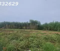 HÀNG NGỢP! 3.8 mẫu đất đường Cù Chính Lan - Tân Bình - TX LaGi chỉ 657 triệu/ sào