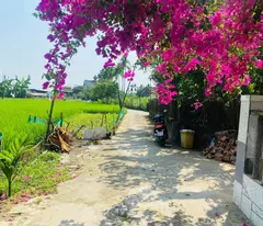Đất Đại Nghĩa - Đại Lộc giá sập hầm