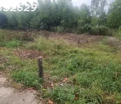Chỉ 800 triệu sở hữu đất Hẻm Nguyễn Chí Thanh - Tân Bình - TX LaGi sổ riêng, full thổ cư
