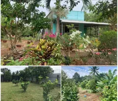 CẦN BÁN GẤP VƯỜN CÂY ĂN TRÁI CÓ NHÀ Ở DIỆN TÍCH 1450M2 CÓ THỔ CƯ