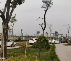Mở bán đợt cuối đất nền Liền kề tại khu đô thị kiểu mẫu Tân Thanh Elite City, gần Trung tâm hành