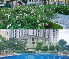 CHÍNH CHỦ CHO THUÊ CĂN HỘ CHUNG CƯ TẠI TRẦN HỮU DỰC - CẦU DIỄN - NAM TỪ LIÊM - HÀ NỘI