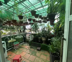 Bán Nhà 2 Mặt Hẻm Phố Tây, Hùng Vương, Nguyễn Thiện Thuật – Giá Chỉ 3 Tỷ 650 Triệu