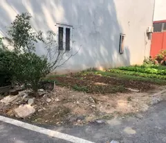 Bán 71,5 m2 thổ cư lô góc, Đại Tự Kịm Chung Hoài Đức Giá rẻ
