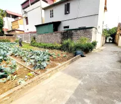 Bán đất thổ cư 63m², Võng Xuyên, Phúc Thọ, Hà Nội - 1.8 tỷ, sổ đỏ