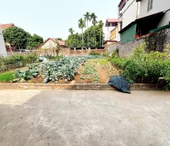 Bán đất thổ cư 63m², Võng Xuyên, Phúc Thọ, Hà Nội - 1.8 tỷ, sổ đỏ