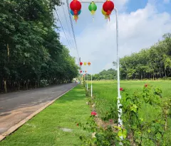 CẦN BÁN ĐẤT SAU LƯNG ỦY BAN NHÂN DÂN 250MM2 ĐÃ LÊN THỔ CƯ