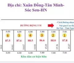 GIÁ NỔ THẲNG DẤT XUÂN ĐỒNG TÂN MINH DT 87,5 NM CHỈ HƠN TỶ VỊ CHÍ ĐÂT NẰM SÁT DG NHỰA 418