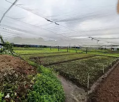 Bán đất lớn 4420m2, Hẻm 10m Lê Văn Khương - Hiệp Thành, Q12, 86x52m, chào 89.9 tỷ