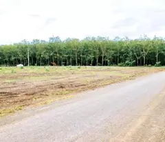 BÁN 2250M2 2SHR LỘ NHỰA THÔNG (3 KCN 240N CN) SÁT TRƯỜNG CHỢ KHO XƯỞNG QUANG MINH CHƠN THÀNH
