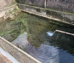 T𝐫𝐮𝐧𝐠 𝐭𝐚̂𝐦 TT 𝐌𝐨̣̂𝐜 𝐂𝐡𝐚̂𝐮, bán mảnh đất 250m2 tặng nhà bên suối.