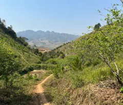 Bán Đất Đẹp Trung Tâm Du Lịch Mộc Châu - 3ha, Sẵn Nhà Sàn, Giá Tốt Chỉ 12.5 Tỷ!