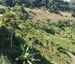 Siêu Phẩm 5000m² Mặt Quốc Lộ 43 – Cách Cao Tốc Chỉ 1km, View Tuyệt Đẹp Tại Mộc Châu