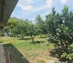 ĐI MỸ ĐỊNH CƯ CẦN BÁN GÁP LÔ ĐẤT 3000M2 GIÁ CHỈ 350 TRIỆU