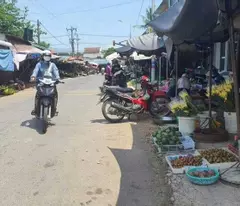 ĐI MỸ ĐỊNH CƯ CẦN BÁN GÁP LÔ ĐẤT 3000M2 GIÁ CHỈ 350 TRIỆU