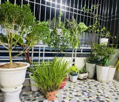 Bán nhà phố Trương Định, Hoàng Mai 32m, 5 tầng. Giá: 6.1 tỷ