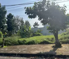 1/ Phạm Thái Bường , 725,8m² , 300m² , Mặt Tiền Ô TÔ , Phước Khánh , Nhơn Trạch