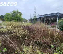 GIẢM SỐC CHỈ CÒN 1 TỶ LÔ ĐẤT 330m2 đất Lô 2 Ngô Tất Tố, Tân Phước, Thị xã LaGi gần Biển Cam bình