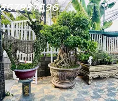 Bán Nhà Biệt Thự Vĩnh Hiệp – Sân Rộng, Đậu Ô Tô, Giá Chỉ 4.5 Tỷ