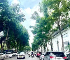 bán biệt thự phố hoàng trọng mậu, nam từ liêm, giá đầu tư mua là thắng
