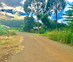 BÁN VƯỜN ĐIỀU 2,7 SÀO (2730M2) VIEW SÔNG DÂN THƯA, 200M RA NHỰA, CÔNG NGHIỆP GIÁ 190TR/S.
