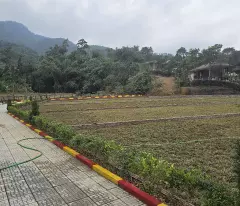 Bán đất đẹp du lịch nghỉ dưỡng Đồng Vỡ, Phú Mãn giá rẻ 468m nhỉnh 6 tỷ