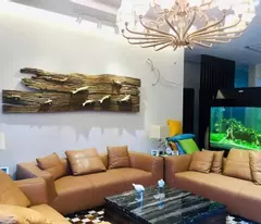 Định cư, cần Bán Biệt thự  Trần Xuân Soạn, P.Tân Hưng, Q7, 15x27m, 3T - 9PN, 69.9 tỷ
