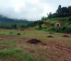 Đất nền Mộc Châu vị trí đẹp tiện kinh doanh giảm giá sâu. Phù hợp làm khu cắm trại.