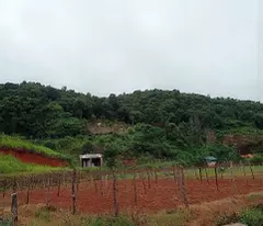 Đất nền Mộc Châu vị trí đẹp tiện kinh doanh giảm giá sâu. Phù hợp làm khu cắm trại.