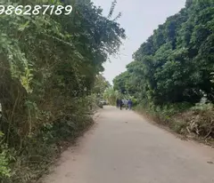 CẦN SANG NHƯỢNG LÔ ĐẤT TẠI HỮU ÁI  GIANG SƠN, GIA BÌNH, BẮC NINH 0986287189