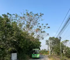 NHÀ PHỤNG CHÂU - CHƯƠNG MỸ - 4 TẦNG - 3 TỶ 8