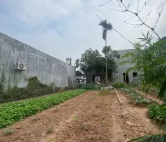 BÁN ĐẤT NINH MÔN, HIỀN NINH, SÓC SƠN. 80M2, MT5,5M. FULL THỔ CƯ. GIÁ 27TR/MM CÓ THƯƠNG LƯỢNG