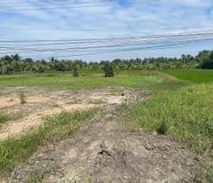 Cần bán đất nền tại ấp 10, xã Thuận Hưng, huyện Long Mỹ, tỉnh Hậu Giang (kế bên cầu Ba Phát). Giá: