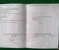 Cần bán đất nền tại ấp 10, xã Thuận Hưng, huyện Long Mỹ, tỉnh Hậu Giang (kế bên cầu Ba Phát). Giá: