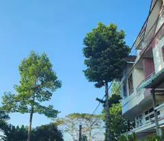 BÁN NHÀ MẶT PHỐ CẦN THƠ - 84M2 - 3 TẦNG - GIÁ HỜ 3.8 TỶ
HOÀN HẢO CHO GIA ĐÌNH TRẺ - KDC NÔNG THỔ