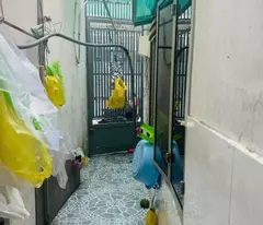 BÁN NHÀ MỘT TRỤC HẺM 3M TÂN THỚI HIỆP 21 - NHÀ 2 TẦNG XÂY KIÊN CỐ BTCT - KHU VỰC DÂN CƯ SẦM UẤT