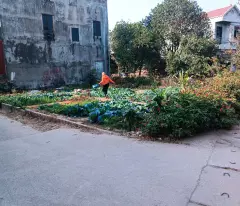 54m Đất Hiền Ninh, Sóc Sơn, hà Nội. Gần VD4. Giá hơn 1 tỷ
