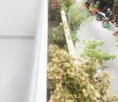 Bán Nhà Hẻm Tiền Nguyễn Trãi, P7, Q5, 5.9x8.4m - Chỉ 14 Tỷ
