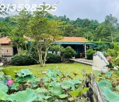 Cần bán gấp 3500 m2, đường 12m , giá 310tr. có nhà và vườn trái cây