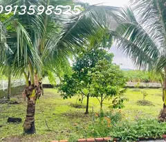 Cần bán gấp 3500 m2, đường 12m , giá 310tr. có nhà và vườn trái cây