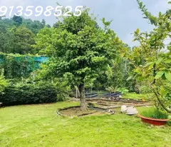 Nhà vườn nghỉ dưỡng 2700M2 bán đủ 390TR Sổ Sẵn lh: 0913598525