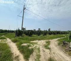 Bán gấp 145m x 84m đất ONT Lô 2 Lý Thái Tổ - Tân Tiến - TX LaGi gần Biển chỉ 1.5tr/m2