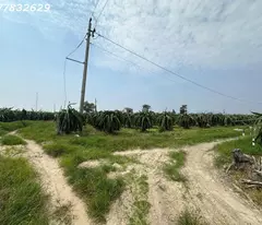 Bán gấp 145m x 84m đất ONT Lô 2 Lý Thái Tổ - Tân Tiến - TX LaGi gần Biển chỉ 1.5tr/m2